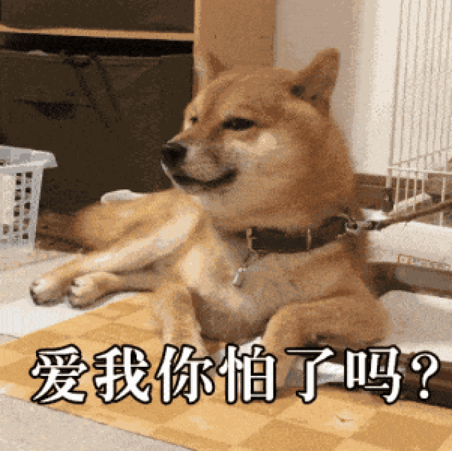 这个商家为单身狗正名! 单身无罪!