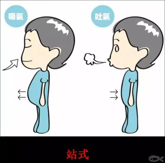 腹式呼吸:生命深层能量来源