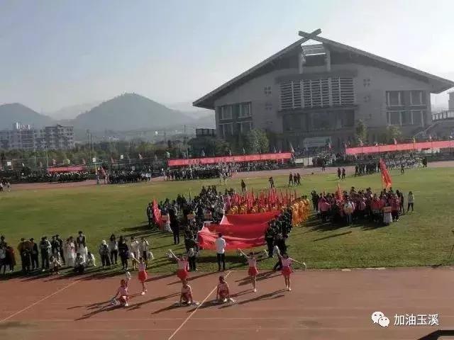 快来看看,云南民族大学将成立马术学院