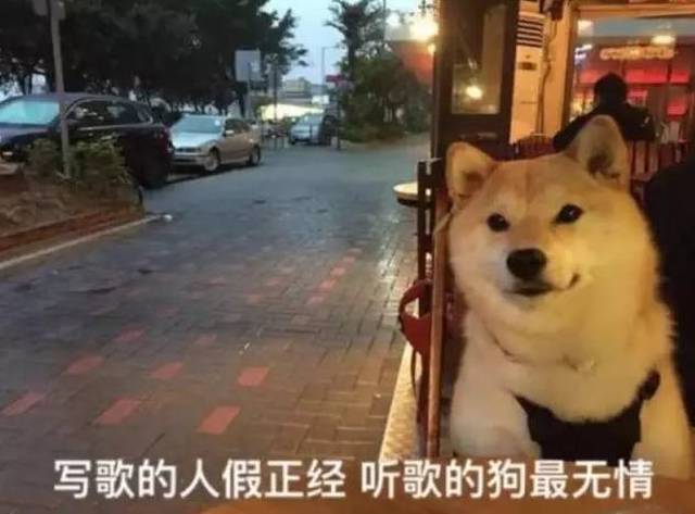 单身男女超2500万,广东竟成单身狗重灾区!@珠海人,你拖后腿了吗?