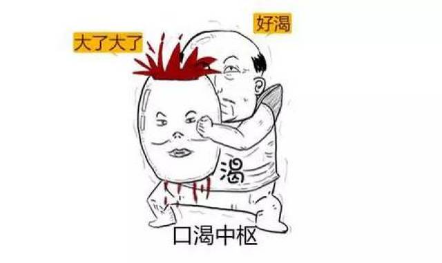 一,喝的多 血糖升高导致血浆渗透压升高,刺激口渴中枢.