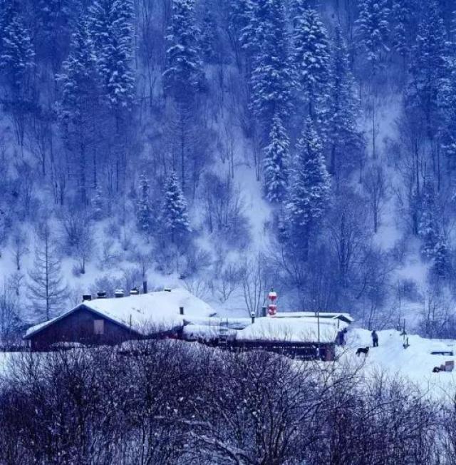 你可以在大雪纷飞的夜晚吃一口地道的马迭尔冰棍,或者吃上传说中一锅