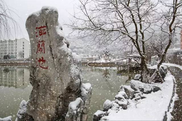 再见了,巢湖学院!