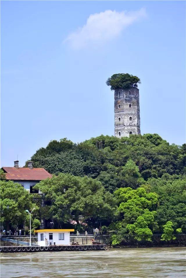 江心寺是江心屿上最大的古建筑群,原名中川寺,寺周古木参天,景色清幽.