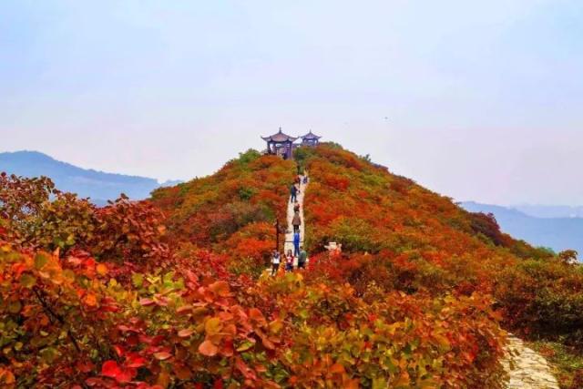 地址:巩义市竹林镇长寿山风景区