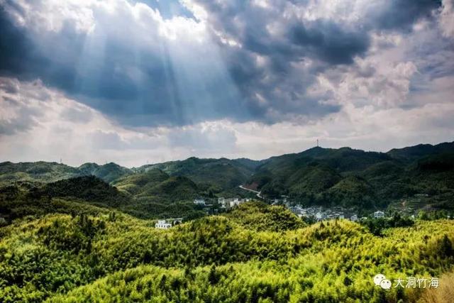 【盘州旅游】你好,我叫大洞竹海