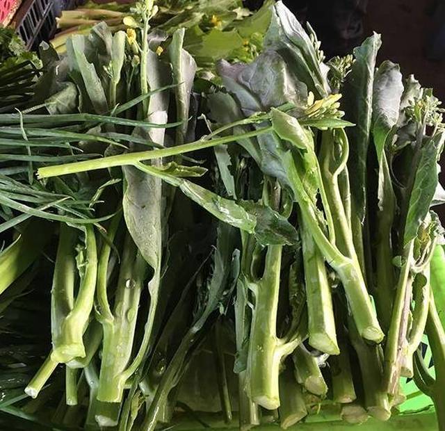 南北方青菜之争,来广西的北方人 , 这个问题要注意了!