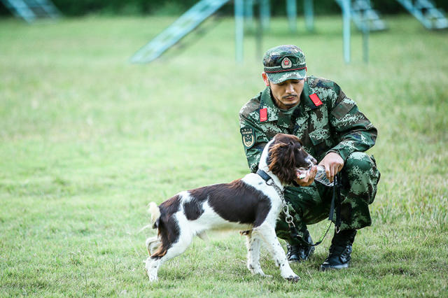 《奇兵神犬》杨烁暖男属性爆发训犬高度散光再闹乌龙