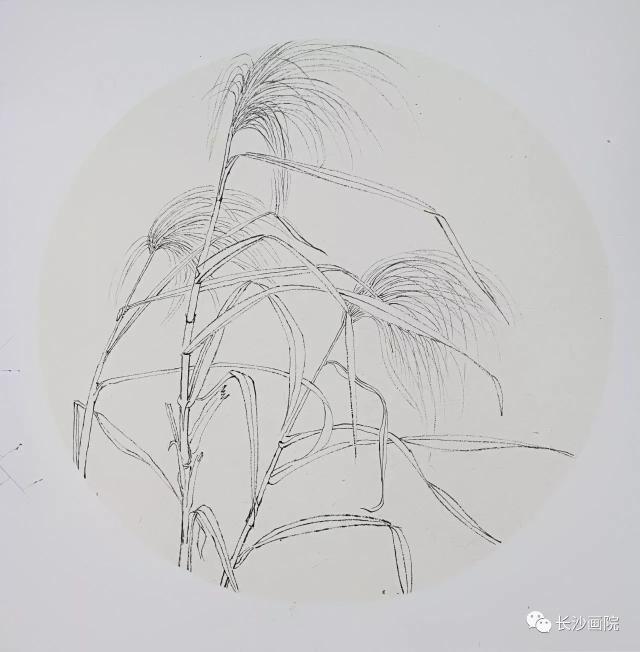 "云梦葳蕤——长沙画院沅江文体广新局交流写生活动"在沅江开展