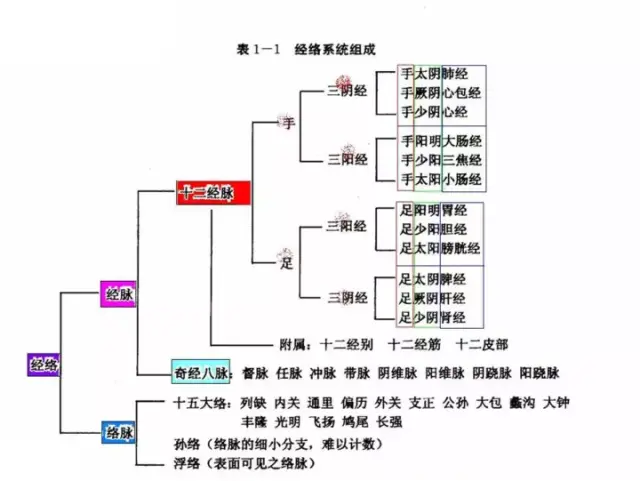 【中医科特辑】经络腧穴与养生保健