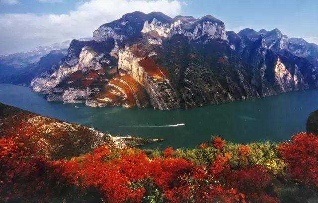 长江三峡(巫山)国际红叶节 今年的红叶会不会别样的美丽 流传千年的图片