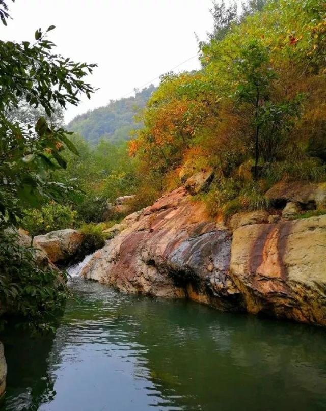 【小编带你看鲁山】下汤镇竹园沟村~原始幽静