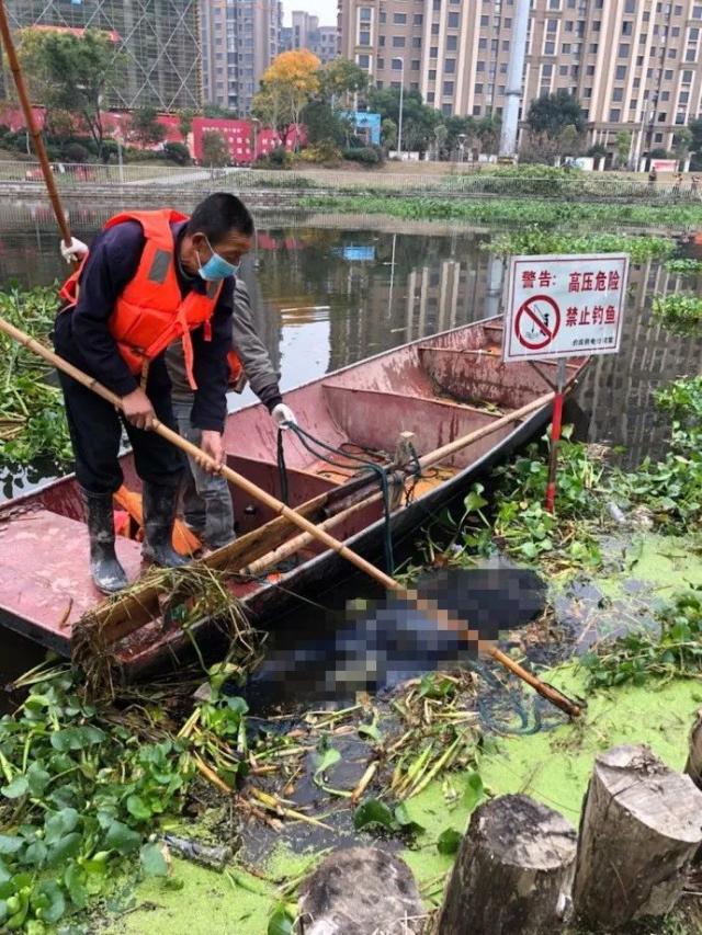 法医部门到现场进行勘察,经现场勘察排除他杀系溺水死亡,由于尸体状态