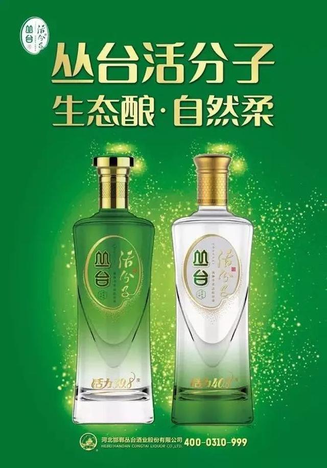 丛台活分子酒助力网络剧《我是小年轻》新闻发布会隆重召开!