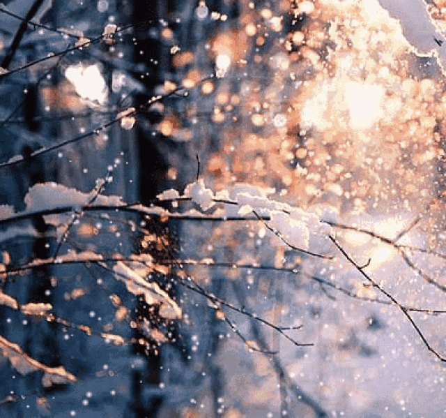 不用担心圣诞的时候南京不下雪 超大功率造雪机,造出超级逼真的雪景