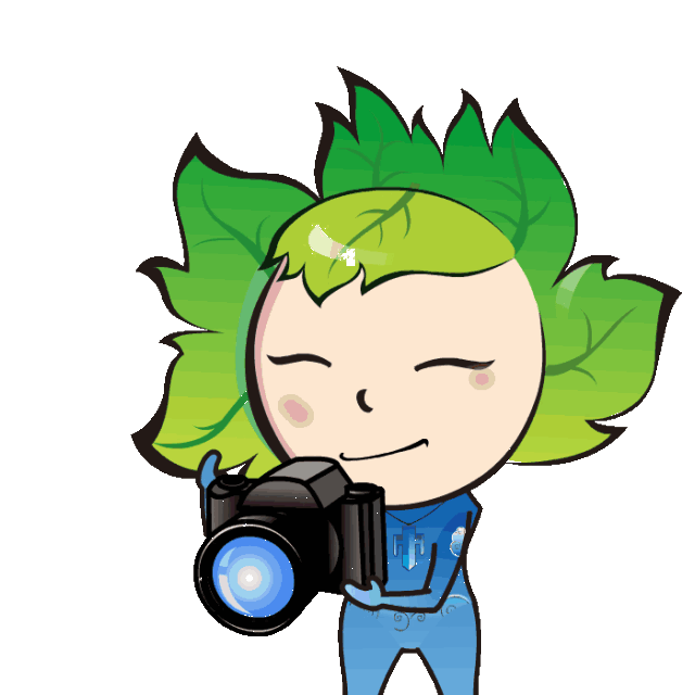 拍客有奖征集!
