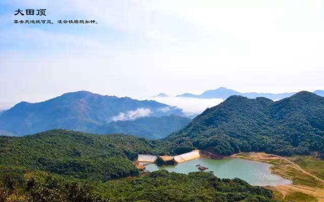 大雾岭旅游区的主峰大田顶,海拔1704米,是粤西第一高峰,广东第二高峰