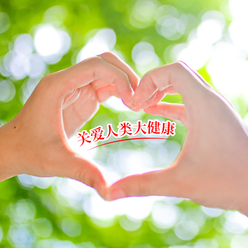 一部关于生命与梦想的旅程——遗愿清单影评的深度解析