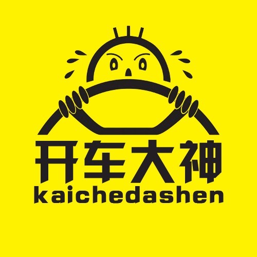 开车大神视频