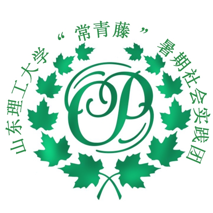 梦始常青藤实践回顾一