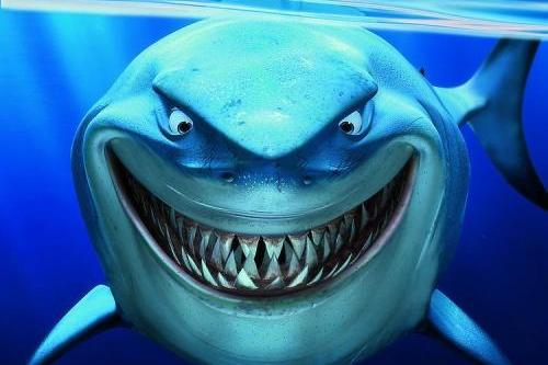 鲨鱼热点的个人展示页