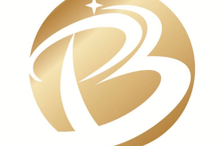 浑水如何调查公司