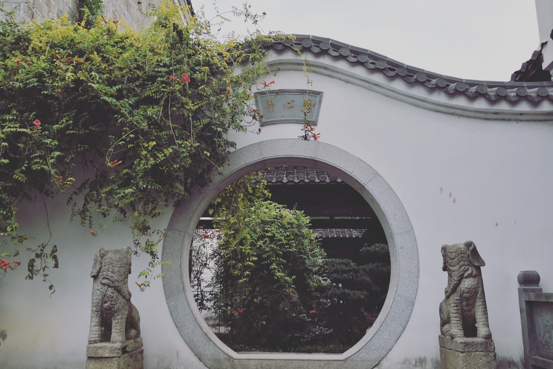 11,后湖艺术区 后湖艺术区是新建的一个创意园,白墙绿瓦加上碧绿的