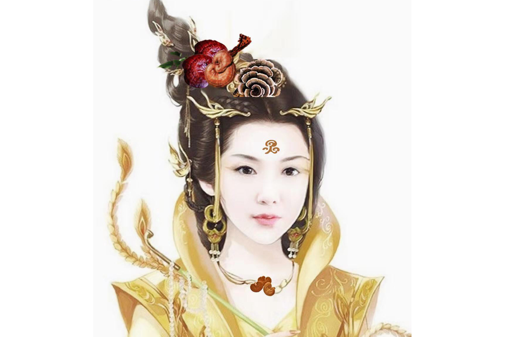      灵芝仙子师源