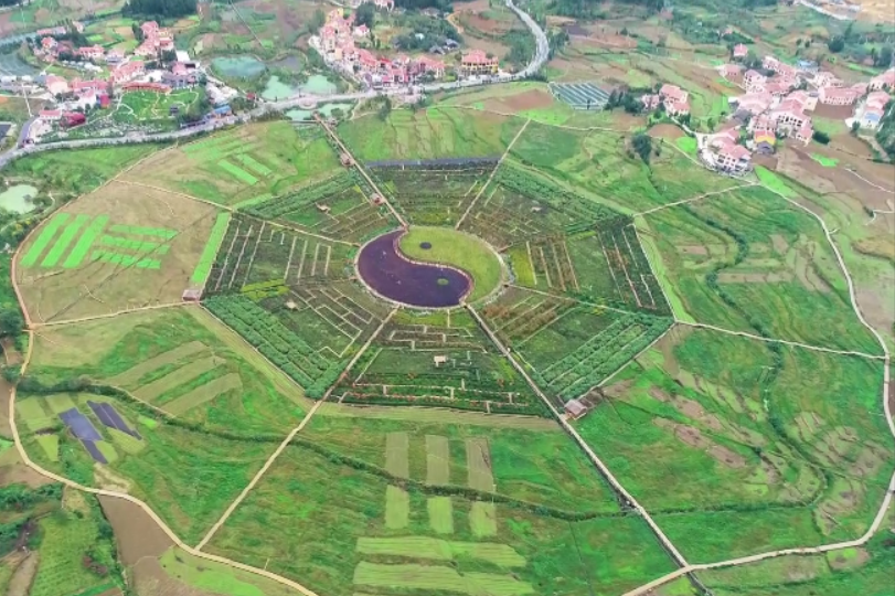 航拍稻田巨型八卦图惊艳乡村景色