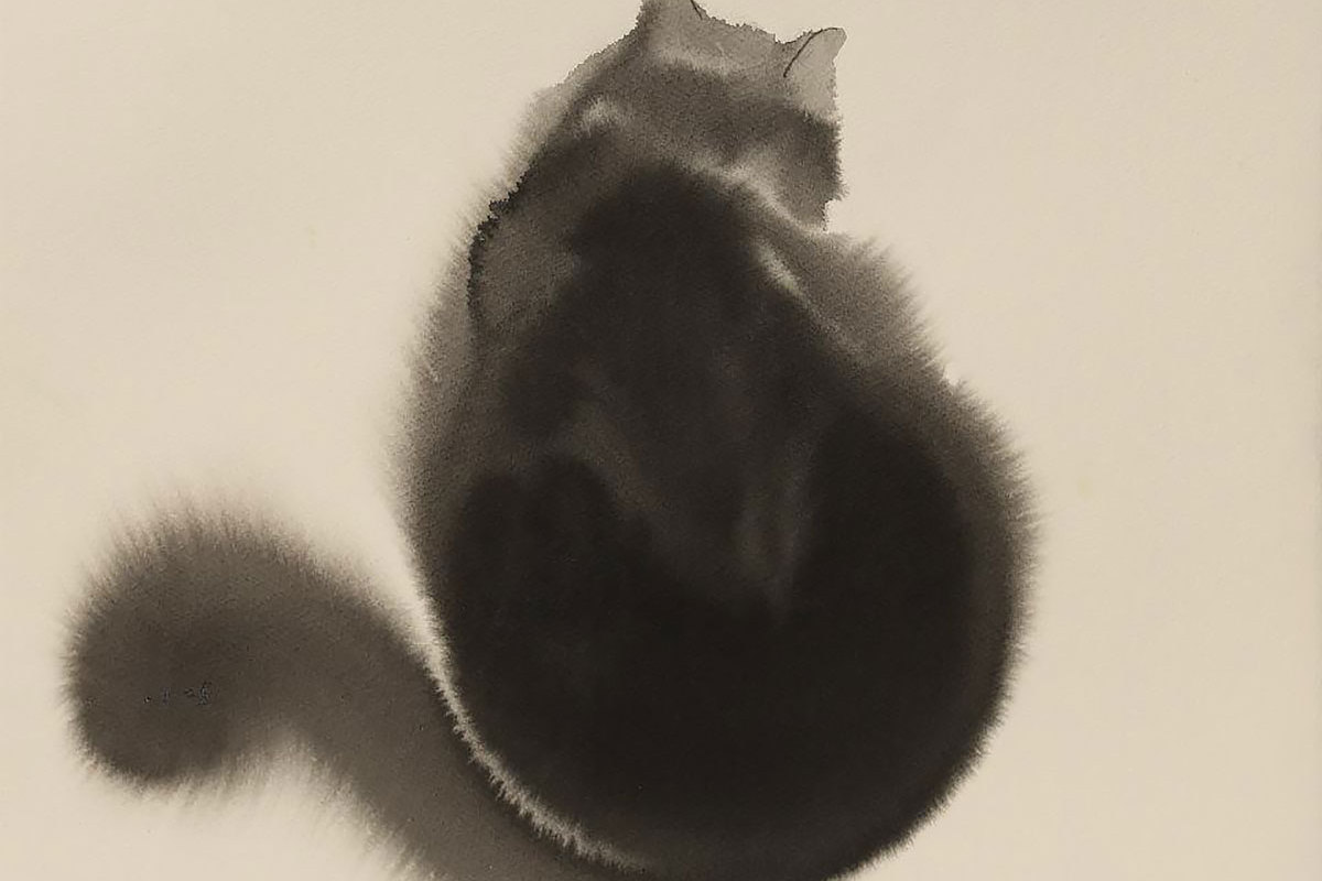 Endre Penovac的水彩画猫| Cat_搜狐网