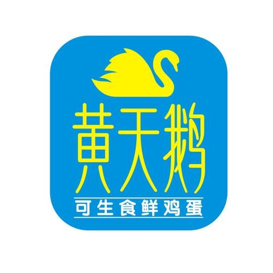 黄天鹅商标图片