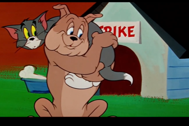 猫和老鼠斗牛犬把汤姆当成自己的孩子小狗狗吃醋跟汤姆抢爸爸