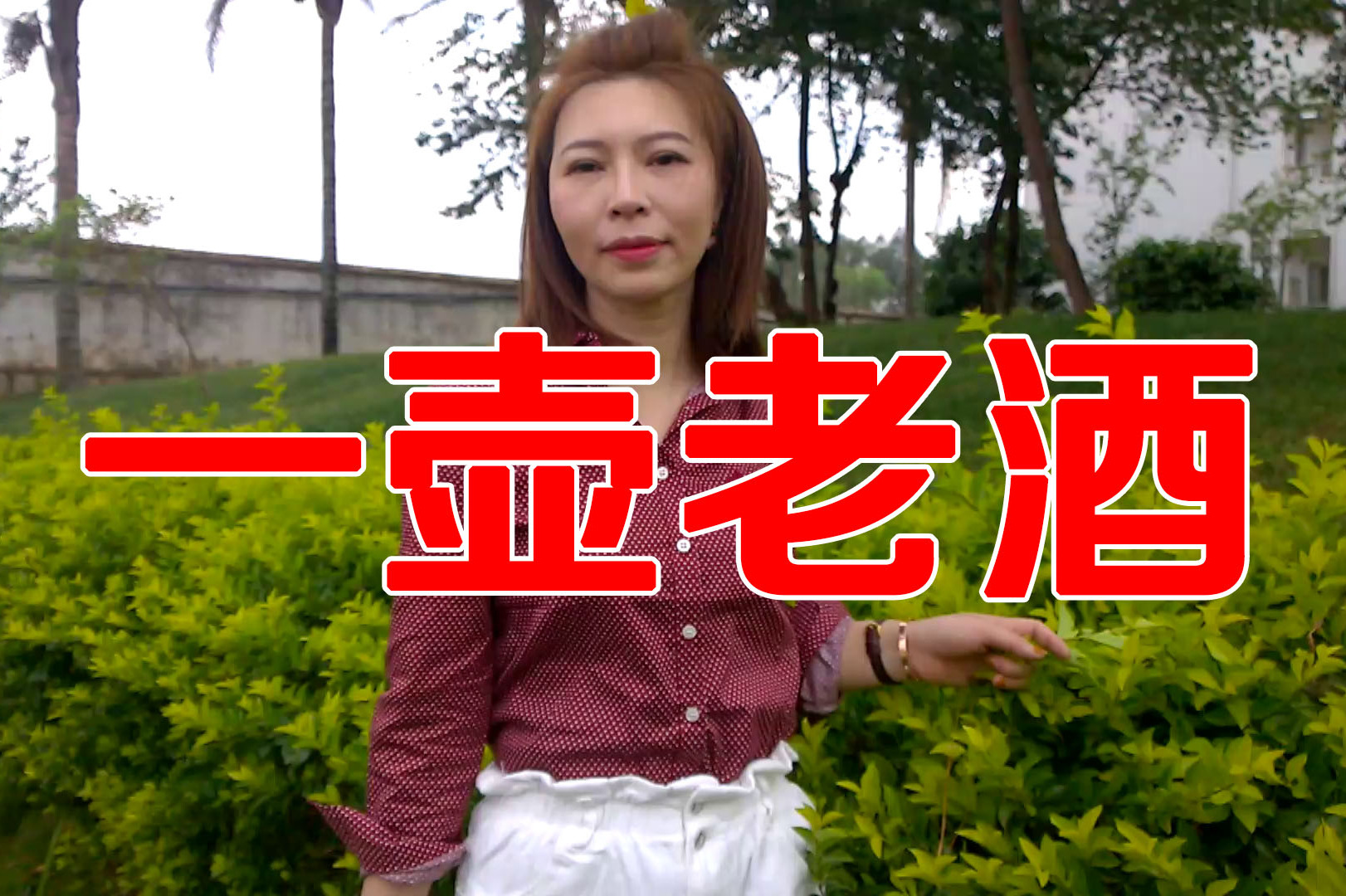 陆树铭一首一壶老酒句句实话超级好听