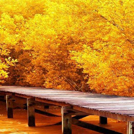 赛高酱直播脱衣服,看到脱下那一瞬间,粉丝都沸