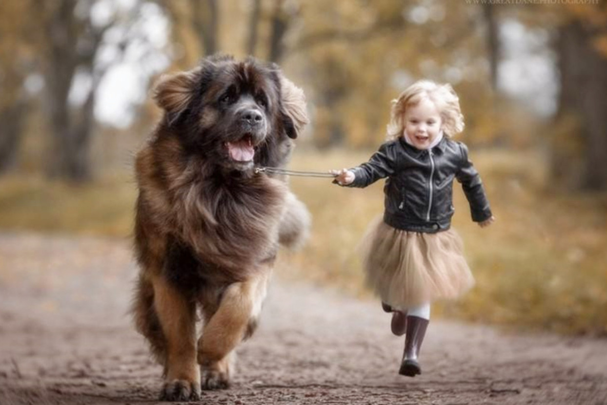 呆萌狗狗和小孩互舔,但是却是隐患十足,镜头拍下了全过程