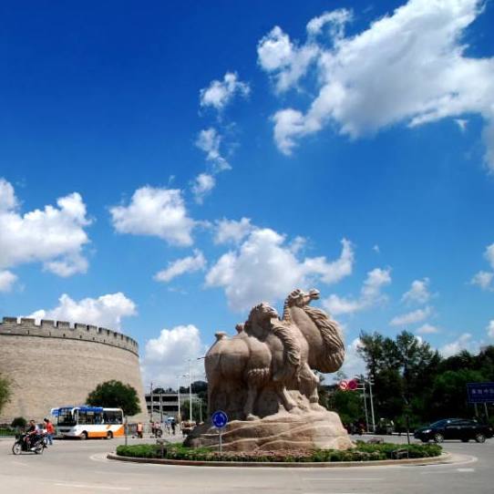 榆林市定边县民政局中心敬老院中标项目背后的启示