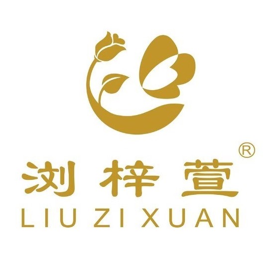 蔡文胜:美链不是美图开发的区块链产品 只是海外有合作