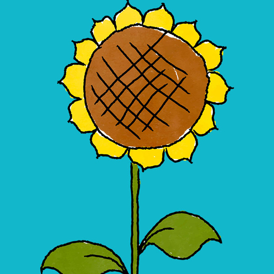 迷茫时听从内心最坚定的东西