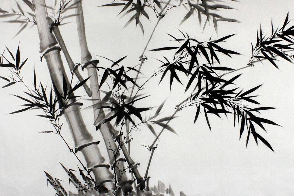 竹子的根 水墨画图片