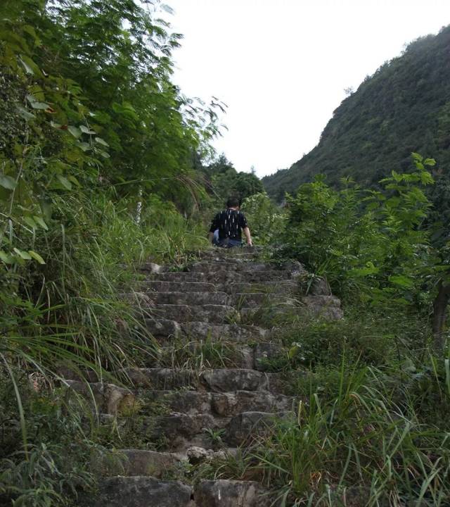 正在复活的记忆,巫山南陵古道项目快速推进!