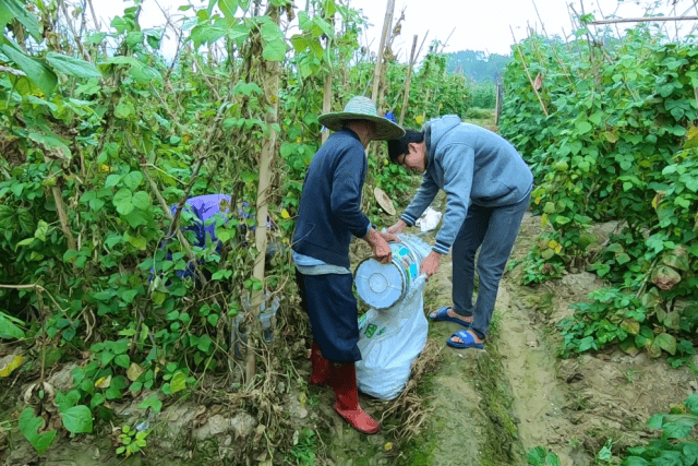 农村小权哥的个人展示页