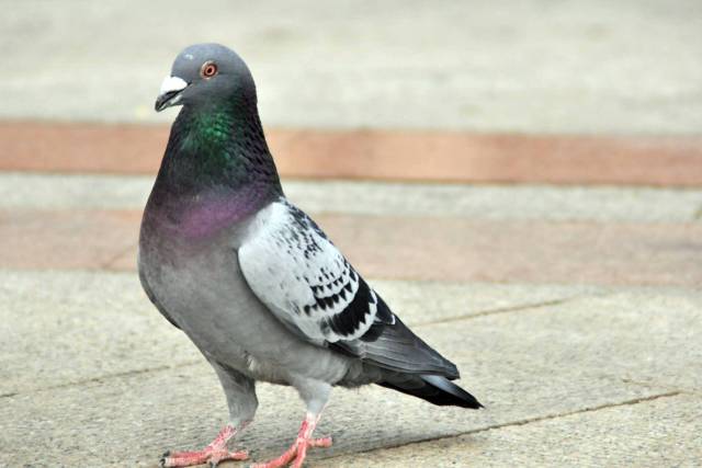 vie伟世博的个人展示页