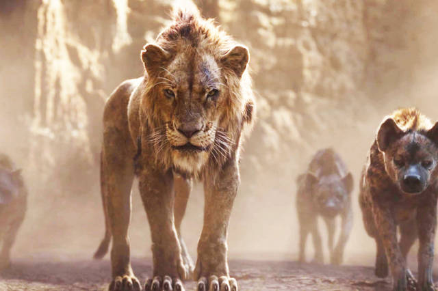 真人版《狮子王》正式预告,鹏鹏,丁满,刀疤全亮相!