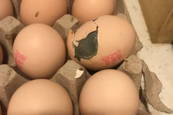 德青源鸡蛋发黑变质遭投诉 消费者两次碰到坏蛋
