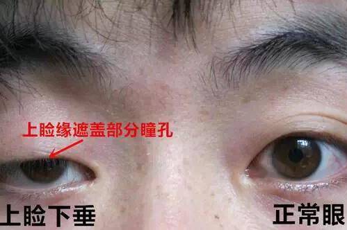 八大处整形医生杨欣的个人展示页