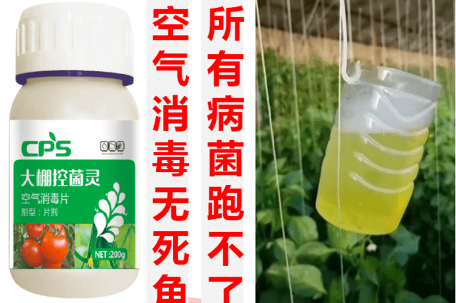 空气消毒片是什么?空气消毒无死角,所有病菌跑不了!