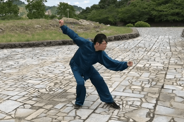 国外武术爱好者演练北京牛街张贵增传白猿通背拳十二连炮