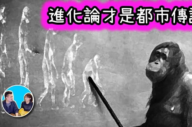 老高与小茉的个人展示页