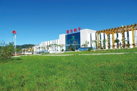 "隆先"牛肉来自隆化及坝上草原畜牧区的隆化肉牛
