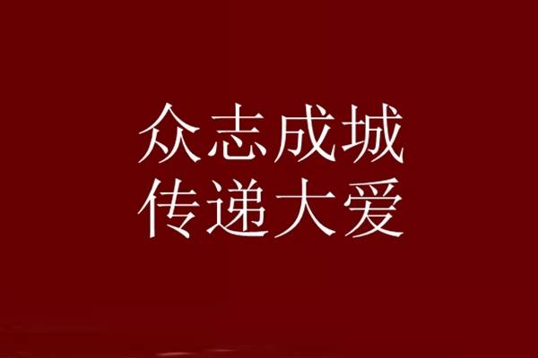 众志成城,传递大爱《二》